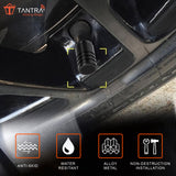 TANTRA Plastic Tyre Valve Cap for Car